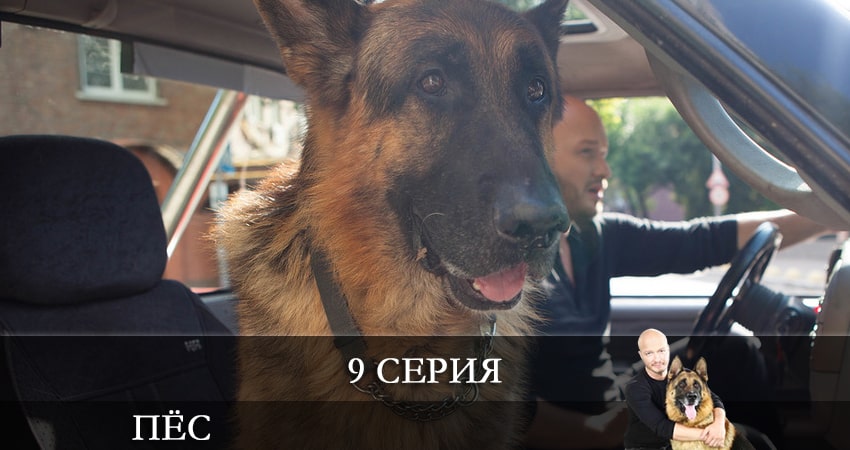 Пес (сериал) 7 сезон 9 серия смотреть в хорошем качестве