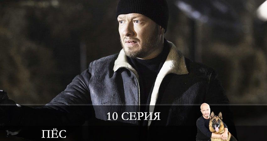 Пес (сериал) 7 сезон 10 серия все серии подряд онлайн бесплатно