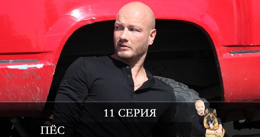 Сериал Пес (сериал) (2021) 7 сезон 11 серия смотреть онлайн в качество 1080 HD или 4K