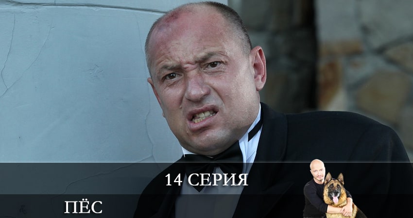 Пес (сериал) (2021) 7 сезон 14 серия смотреть онлайн бесплатно