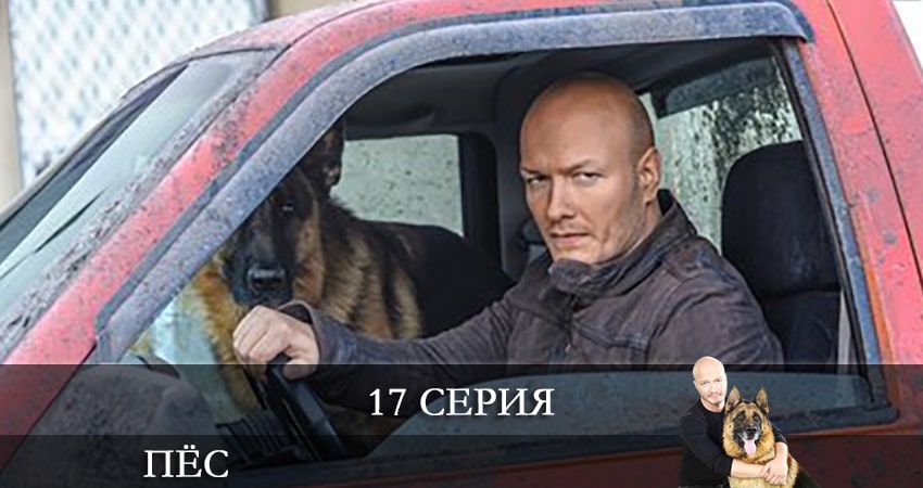 Сериал Пес (сериал) (2021) 7 сезон 17 серия смотреть бесплатно в хорошем качестве