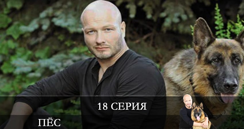 Пес (сериал) (2021) 7 сезон 18 серия смотреть бесплатно полностью