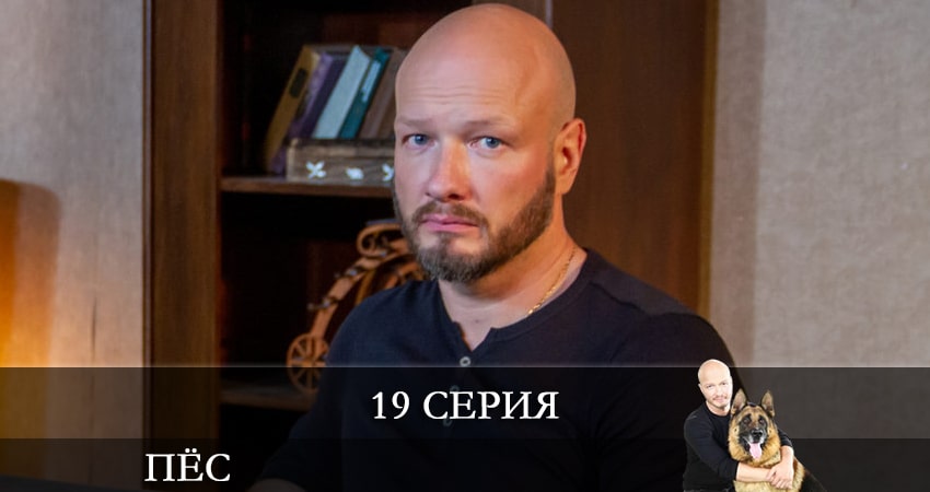 Сериал Пес (сериал) 7 сезон 19 серия смотреть онлайн бесплатно в хорошем качестве
