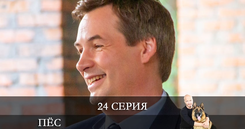 Пес (сериал) (2021) 7 сезон 24 серия смотреть онлайн бесплатно