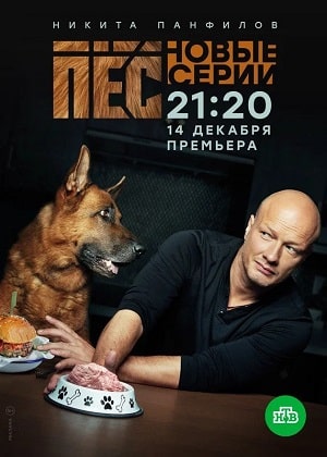 Пес (сериал) 7-й сезон (2021) смотреть онлайн