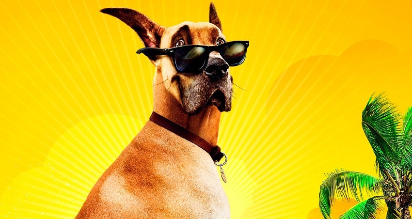 Фильм Мармадюк 2021 (2021) смотреть бесплатно в хорошем качестве