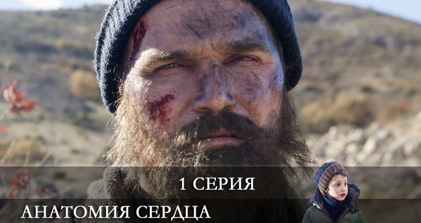 Сериал Анатомия сердца (1 сезон) смотреть бесплатно лорд