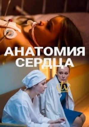 Сериал Анатомия сердца 1 сезон в превосходном 1080p качестве бесплатно