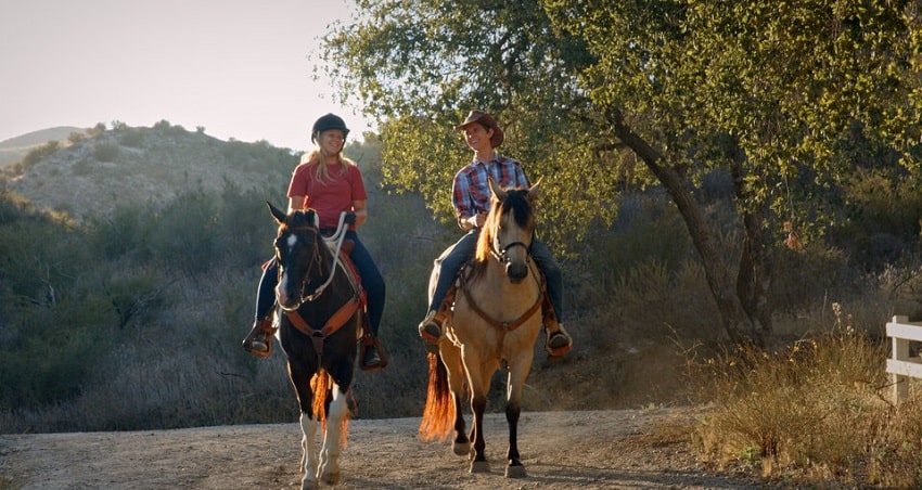 Смотреть Фильм Сердце чемпиона / Небесный конь (США) 2021 в хорошем качестве онлайн