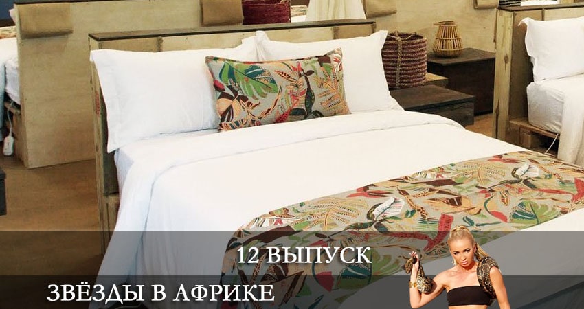 Звезды в Африке (2021) 1 сезон 12 серия смотреть онлайн без рекламы и регистрации