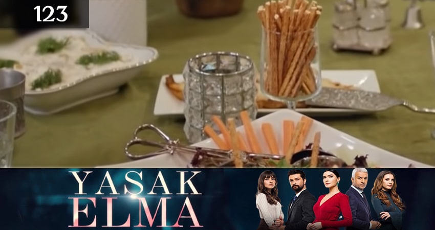 Запретный плод (Yasak Elma) 3 сезон 123 серия смотреть онлайн на телефоне бесплатно