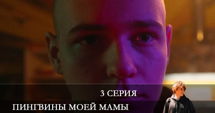 Пингвины моей мамы (1 сезон) все серии подряд