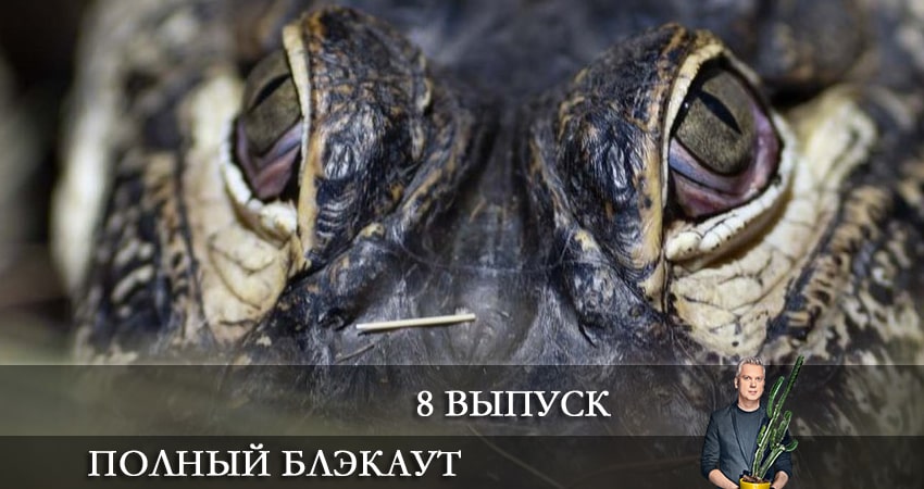 Полный блэкаут (3 сезон) смотреть онлайн бесплатно лорд