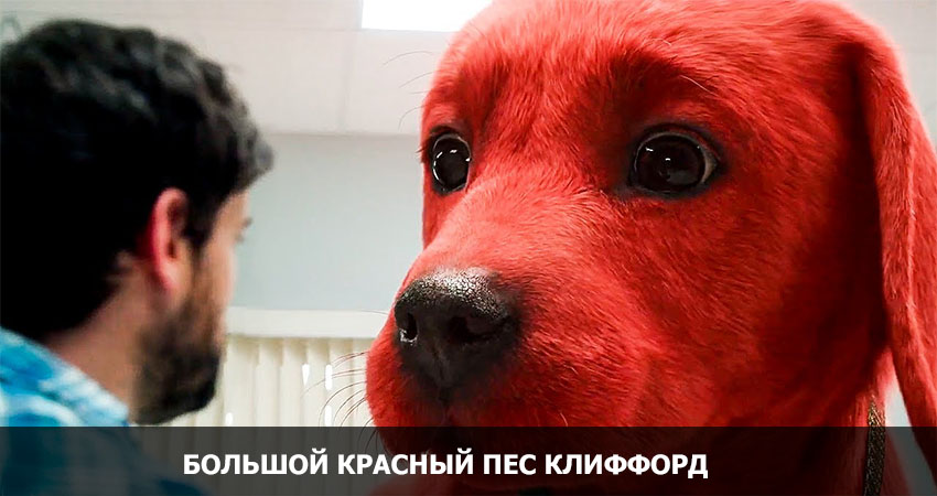 Большой красный пес Клиффорд смотреть бесплатно онлайн без рекламы