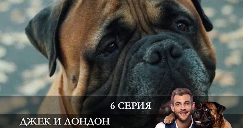 Джек и Лондон (Джек i Лондон) (2021) 1 сезон 6 серия онлайн бесплатно в высоком качестве
