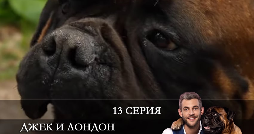 Джек и Лондон (Джек i Лондон) 1 сезон 13 серия смотреть онлайн 720p или 1080p