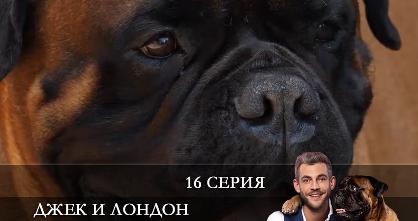 Сериал Джек и Лондон (Джек i Лондон) 1 сезон 16 серия онлайн в качестве 1080p