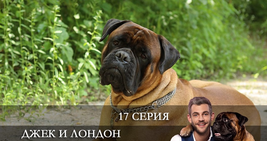 Джек и Лондон (Джек i Лондон) (1-й сезон) сериал 2021 онлайн