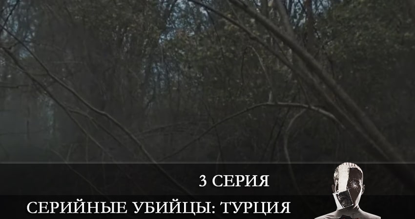 Серийные убийцы (Türkiyedeki Seri Katiller) (1 сезон) смотреть lordfilm
