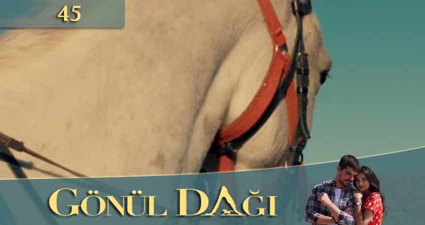 Гора сердца (Gönül Dağı) (2020) 1 сезон 45 серия смотреть онлайн бесплатно