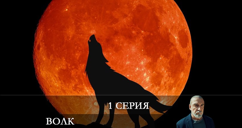 Волк (Yalnız Kurt) 1 сезон 1 серия смотреть онлайн бесплатно в хорошем качестве
