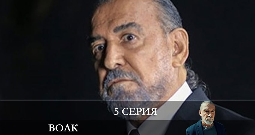Волк (Yalnız Kurt) (2021) 1 сезон 5 серия смотреть в HD 1080 без регистрации