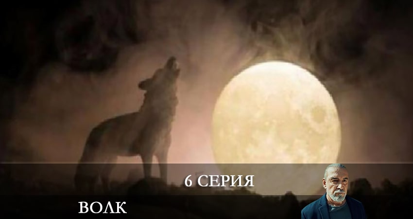 Сериал Волк (Yalnız Kurt) (2021) 1 сезон 6 серия смотреть бесплатно в хорошем качестве