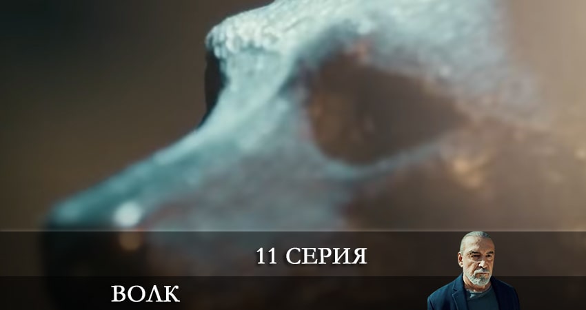 Волк (Yalnız Kurt) (2021) 1 сезон 11 серия смотреть бесплатно полностью