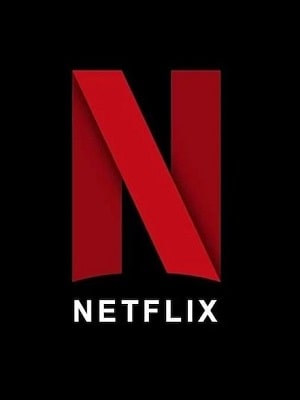 Netflix 1-9,10,11 серия (2021) смотреть онлайн