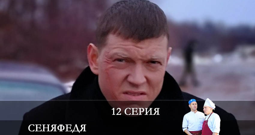 СеняФедя 5 сезон 12 серия смотреть онлайн 720p или 1080p