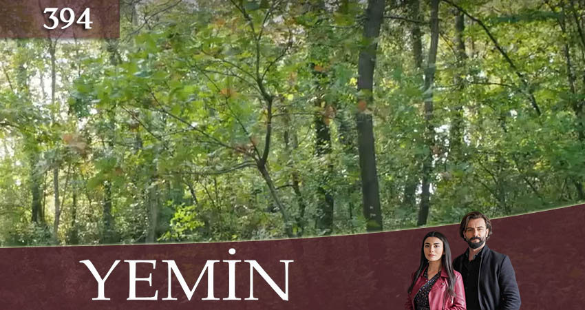 Клятва (Yemin) (2020) 3 сезон 394 серия смотреть онлайн без рекламы и регистрации