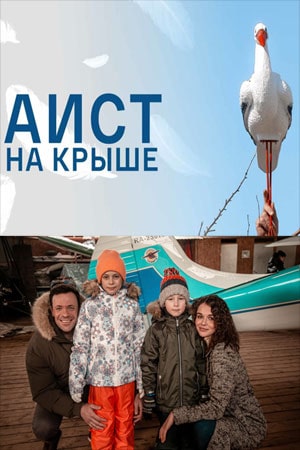 Аист на крыше 1 сезон, 1-4,5,6 серия (2021, Россия) смотреть онлайн