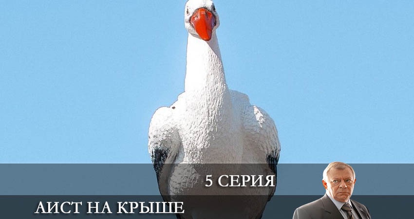 Аист на крыше 1 сезон 5 серия смотреть онлайн бесплатно в хорошем качестве
