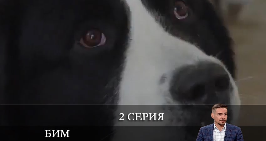 Смотреть сериал Бим 2022 (2022) 1 сезон 2 серия в хорошем качестве онлайн