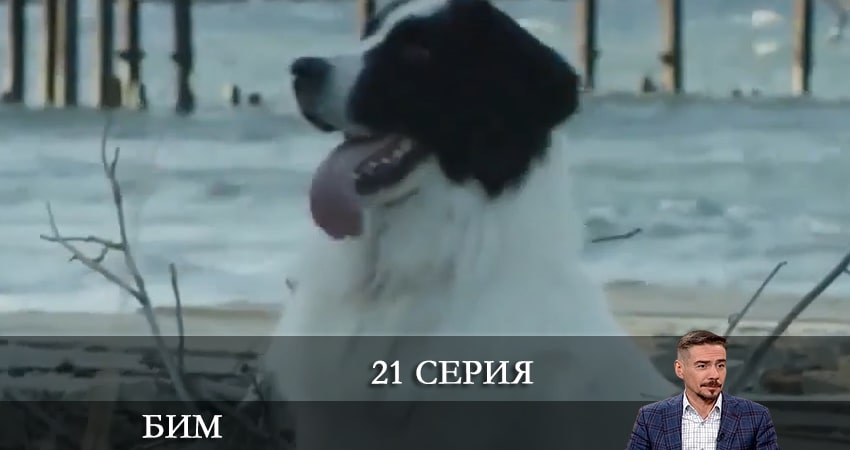 Бим 2022 (2022) 1 сезон 21 серия смотреть онлайн бесплатно