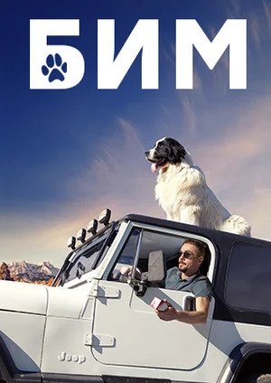 Бим 2022 1-й сезон (, Россия) смотреть онлайн