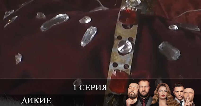 Дикие (Дикi) 1 сезон 1 серия смотреть онлайн бесплатно в хорошем качестве