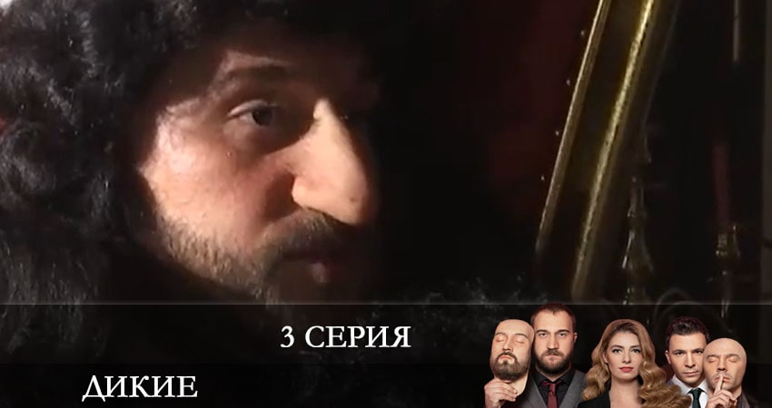 Дикие (Дикi) (2 сезон) сериал где смотреть