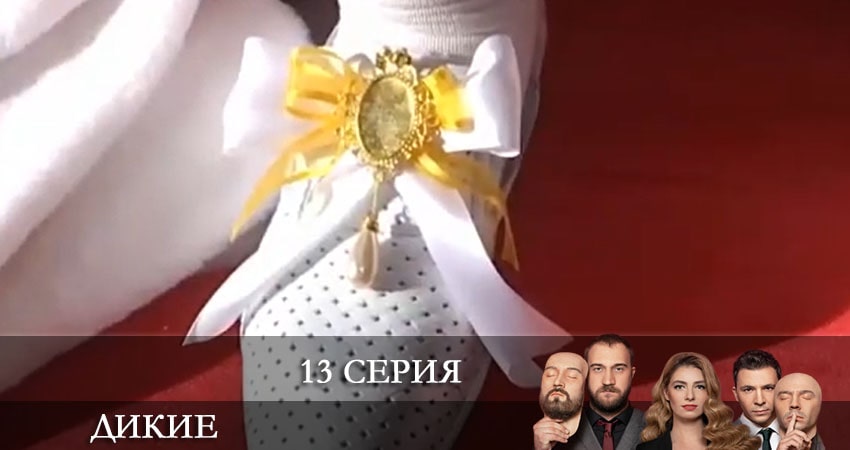 Сериал Дикие (Дикi) (2022) 1 сезон 13 серия в 4K UHD и HD смотреть онлайн бесплатно