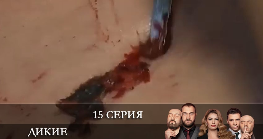 Дикие (Дикi) (2022) 1 сезон 15 серия смотреть онлайн бесплатно