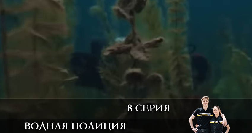 Водная полиция (Водна полiцiя) (2022) 1 сезон 8 серия смотреть онлайн бесплатно