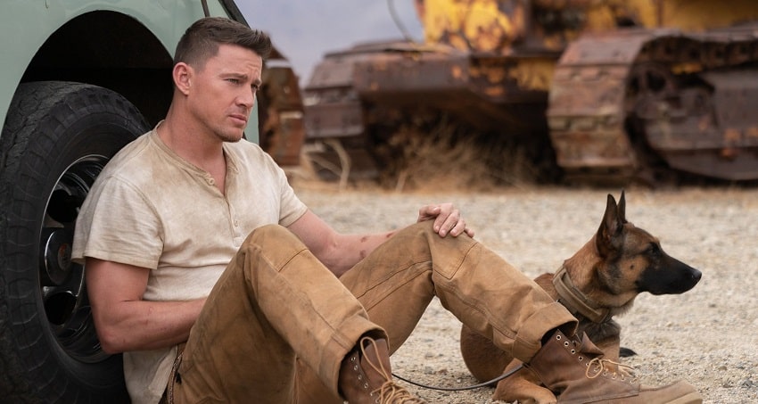 Фильм Лулу и Бриггс 2022 смотреть онлайн бесплатно в хорошем качестве