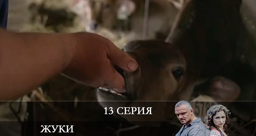 Жуки 3 3 сезон 13 серия смотреть в хорошем качестве