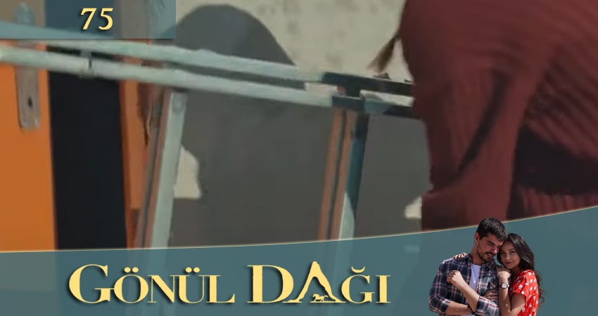 Гора сердца (Gönül Dağı) (2020) 1 сезон 75 серия смотреть онлайн без рекламы и регистрации