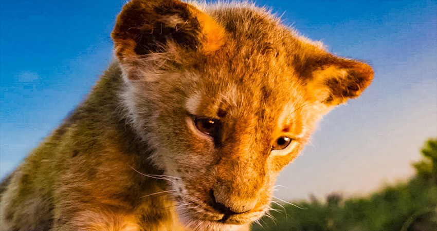 Фильм Король-львенок 2022 смотреть все серии