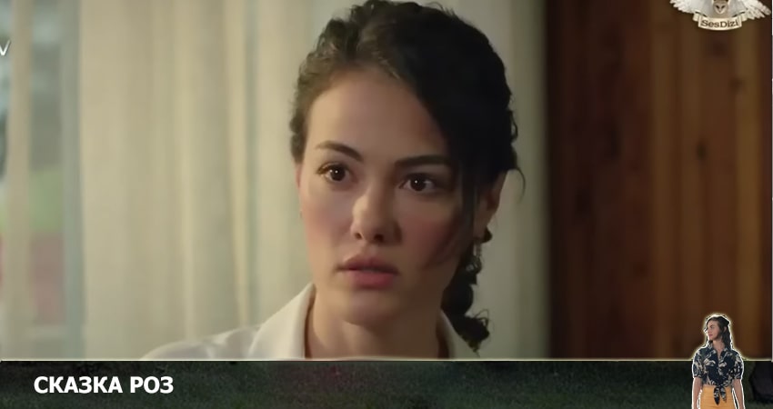 Сказка роз 1 сезон 17 серия смотреть онлайн в качестве 4K