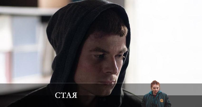Стая 2022 (1-й сезон) все серии
