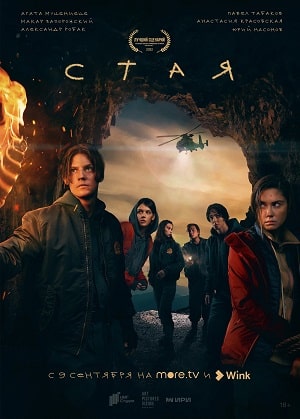 Стая 2022 1-8,9,10 серия (, Россия) смотреть сериал онлайн