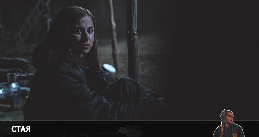 Где снят сериал Стая