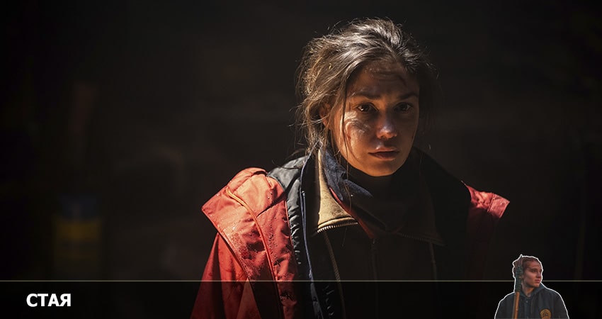 Cмотреть сериал Стая 1 сезон 15 серия онлайн бесплатно